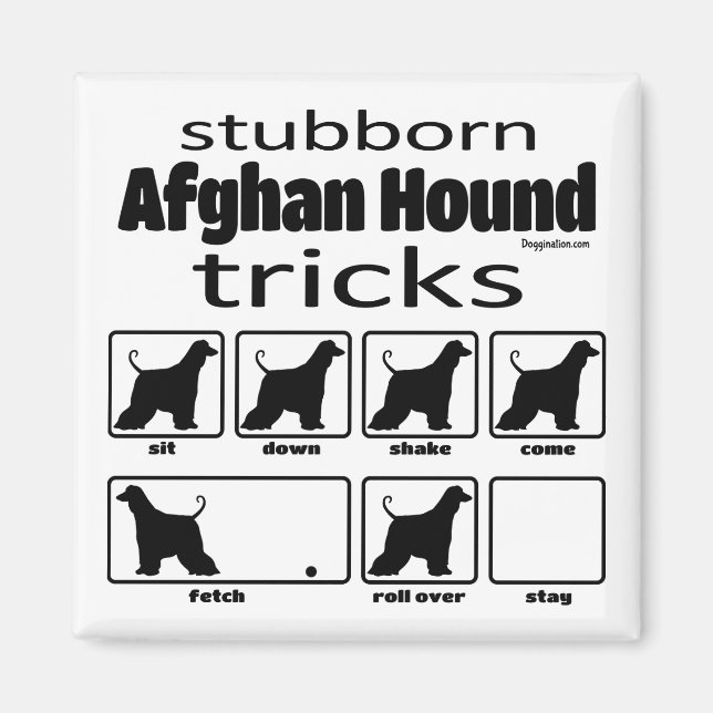 Stubborn-Tricks zum afghanischen Hund Magnet (Vorne)