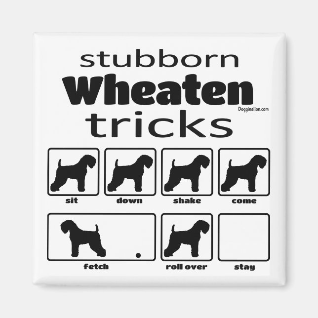 Stubborn Wheaten Tricks Magnet (Vorne)