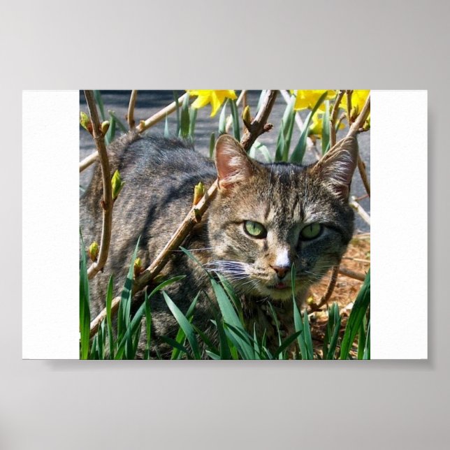 Stubby Poster (Vorne)