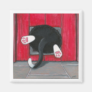 Stückchen eines Pressungs-Katzen-Magneten Magnet