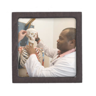 Studentendoktoren, die Anatomie auf einem Skelett Schmuckkiste