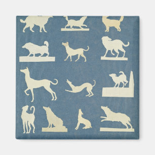 Studie bei Hunden Magnet