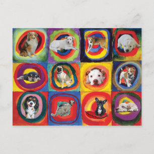 Studie bei Hunden Postkarte