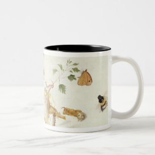 Studie der Insekten und der Blumen Zweifarbige Tasse