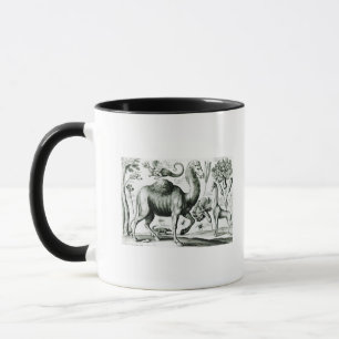 Studie der Tiere und der Blumen, graviert Tasse
