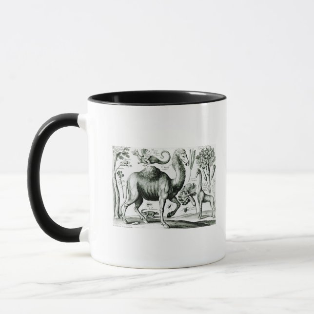 Studie der Tiere und der Blumen, graviert Tasse (Links)