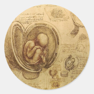 Studie des Babyfötus von Leonardo da Vinci Runder Aufkleber