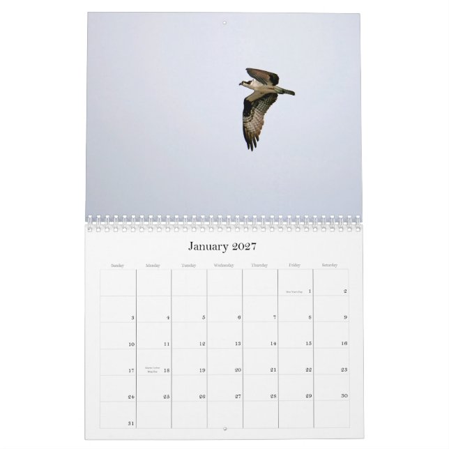 Studie des Seahawk Kalender (Jan 2027)