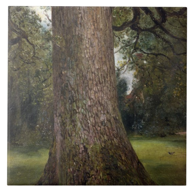 Studie des Stammes eines Ulmen-Baums, c.1821 (Öl Fliese (Vorderseite)