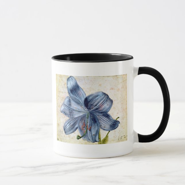 Studie einer Lilie, 1526 Tasse (Rechts)