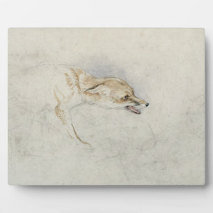 Studie eines Crouching Fox, nach rechts gerichtet  Fotoplatte