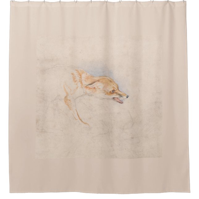 Studie eines Crouching Fox (von John Frederick Lew Duschvorhang (Vorderseite)