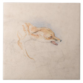 Studie eines Crouching Fox (von John Frederick Lew Fliese