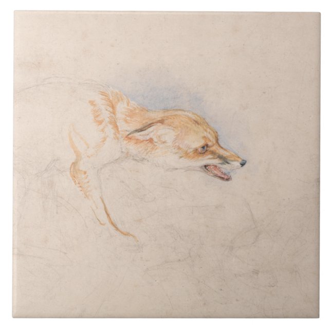Studie eines Crouching Fox (von John Frederick Lew Fliese (Vorderseite)