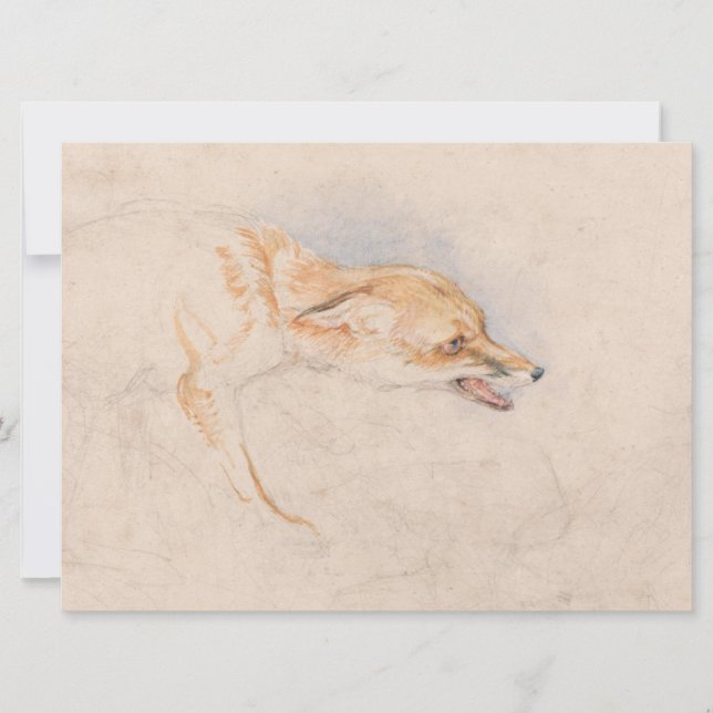 Studie eines Crouching Fox (von John Frederick Lew Karte (Vorderseite)