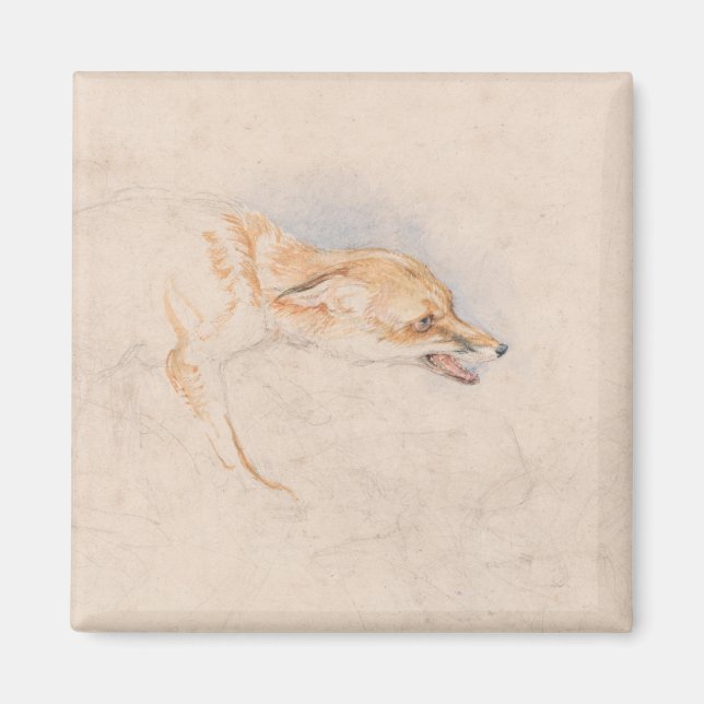 Studie eines Crouching Fox (von John Frederick Lew Magnet (Vorne)