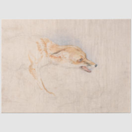 Studie eines Crouching Fox (von John Frederick Lew Seidenpapier