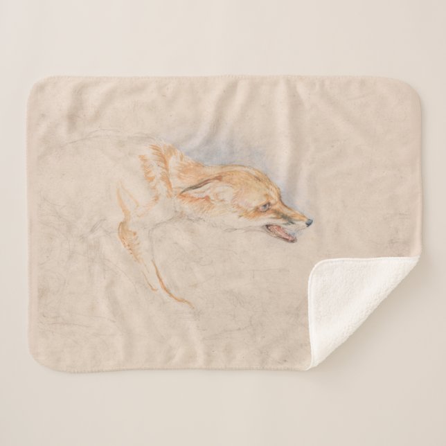 Studie eines Crouching Fox (von John Frederick Lew Sherpadecke (Vorderseite (Horizontal))