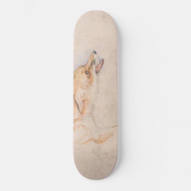 Studie eines Crouching Fox (von John Frederick Lew Skateboard (Vorderseite)