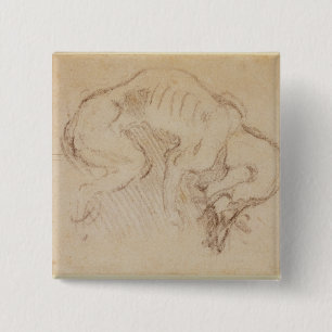 Studie eines Hundes Button