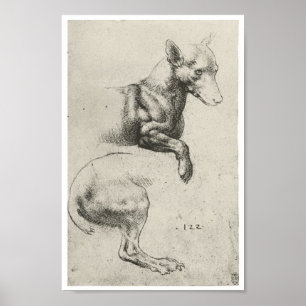 Studie eines Hundes, Leonardo Da Vinci Poster