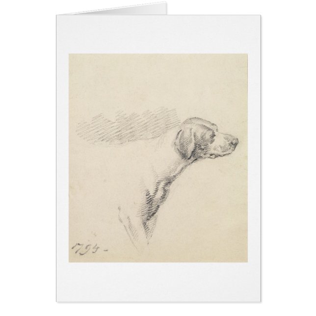 Studie eines Jagdhundes, 1794 (Bleistift auf (Vorne)