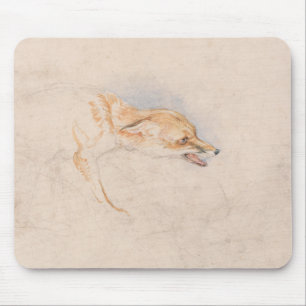 Studie eines kauernden Fuchses (von John Frederick Mousepad