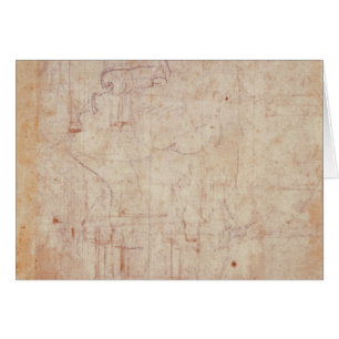 Studie eines Kopfes, 1525-26