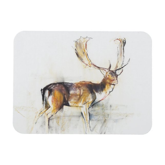 Studie eines Stags Magnet (Horizontal)