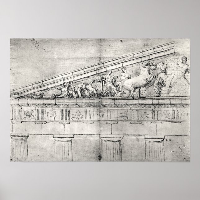 Studie eines Stammbaums des Parthenon Poster (Vorne)