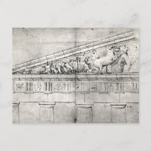 Studie eines Stammbaums des Parthenon Postkarte