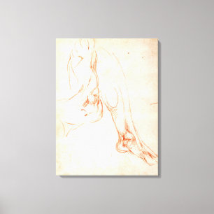 Studie eines unteren Beines und des Fußes Leinwanddruck