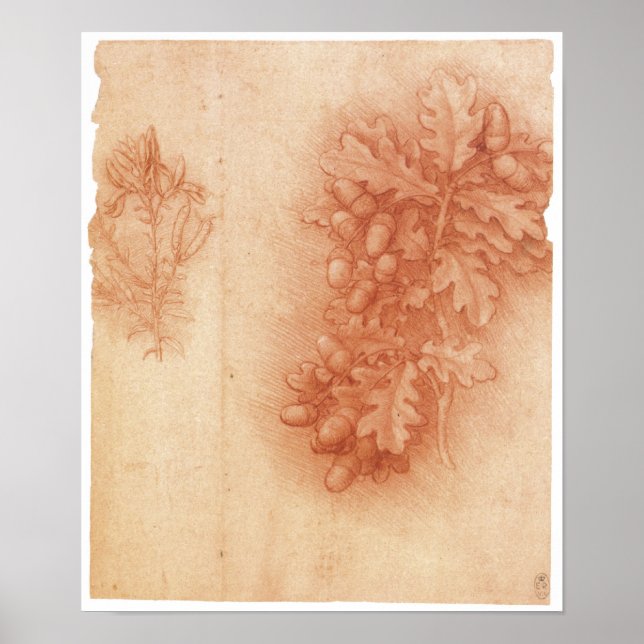 Studie für die verlorene Malerei, Leda, Da Vinci Poster (Vorne)
