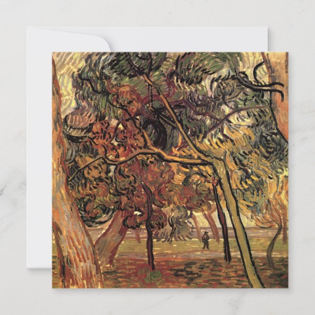 Studie Pine Trees von Vincent van Gogh (Vorderseite)