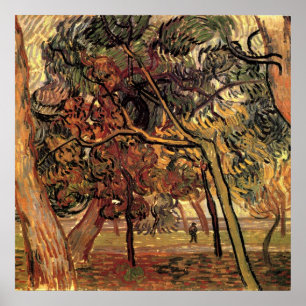 Studie Pine Trees von Vincent van Gogh Poster