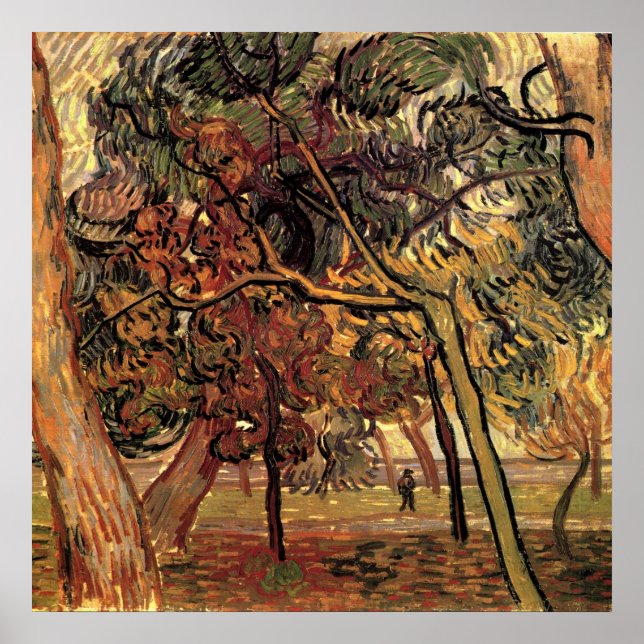 Studie Pine Trees von Vincent van Gogh Poster (Vorne)