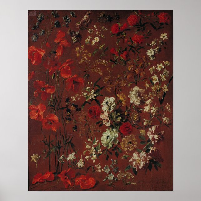 Studie über Blume, 1720 Poster (Vorne)