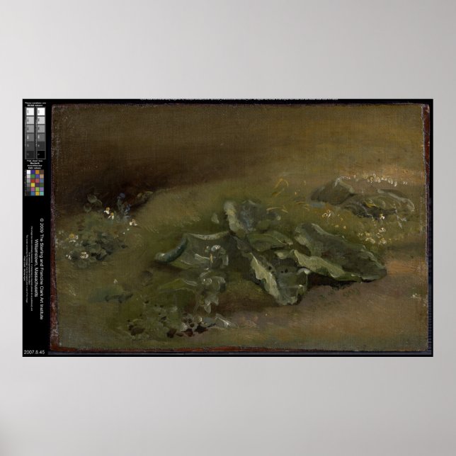 Studie über Burdock - John Constable Poster (Vorne)