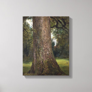 Studie über den Stamm eines Elm Tree, c.1821 (Öl a Leinwanddruck