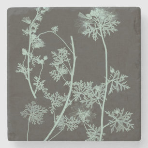 Studie über die Minze und die Kohle - Natur IV Steinuntersetzer