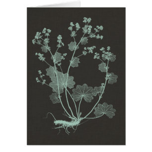 Studie über die Minze- und Kohlenatur I