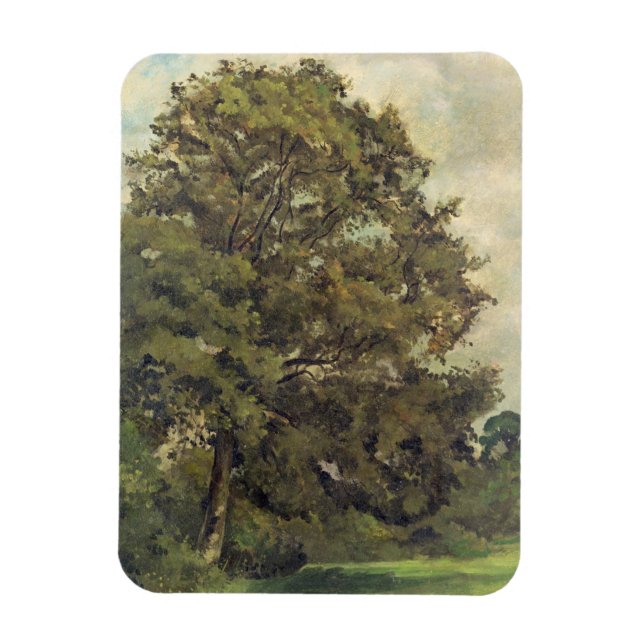 Studie über eine Asche Tree, c.1851 (Öl auf Papier Magnet (Vertikal)