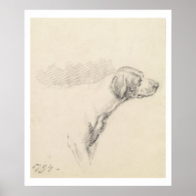 Studie über einen Hund, 1794 (Bleistift auf Papier Poster (Vorne)