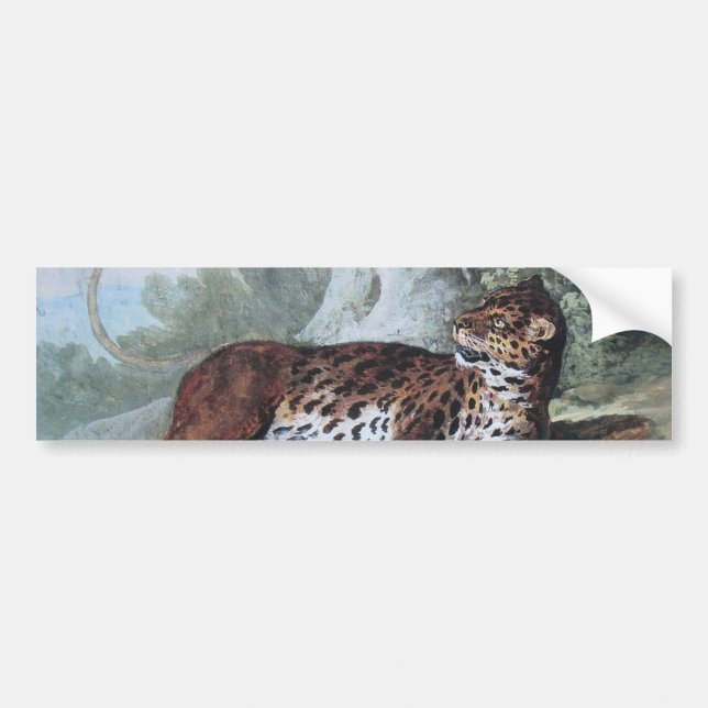 Studie über einen Leopard (von Jean-Baptiste Oudry Autoaufkleber (Vorne)