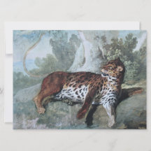 Studie über einen Leopard (von Jean-Baptiste Oudry