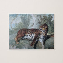 Studie über einen Leopard (von Jean-Baptiste Oudry