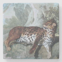 Studie über einen Leopard (von Jean-Baptiste Oudry Steinuntersetzer