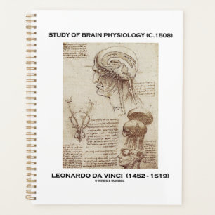 Studie über Gehirnphysiologie (c. 1508) da Vinci Planer