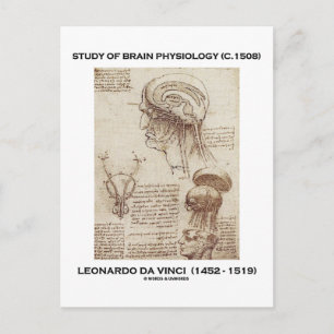 Studie über Gehirnphysiologie (Leonardo da Vinci 1 Postkarte