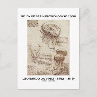 Studie über Gehirnphysiologie (Leonardo da Vinci 1 Postkarte